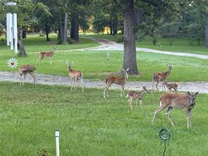 6951 E County Road 315 - Photo 39
