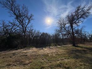 10411 Mineral Wells Highway - Photo 5
