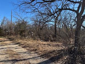 10411 Mineral Wells Highway - Photo 6