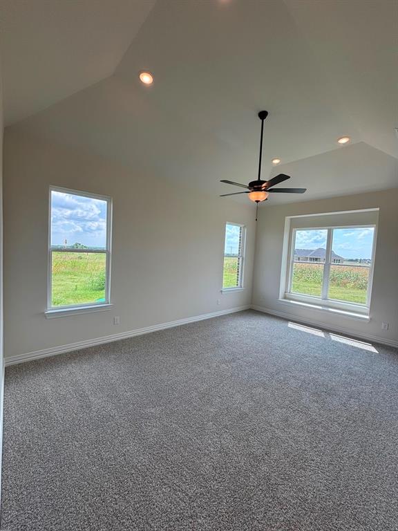 6471 McChesney Drive - Photo 15