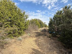 TBD La Vista Drive - Photo 14