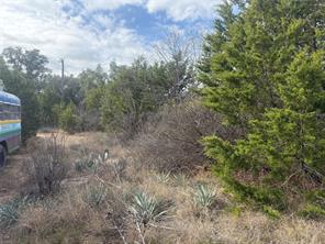 TBD La Vista Drive - Photo 32