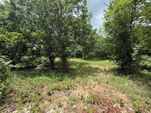 TBD 5 Slate Rock Road - Photo 20
