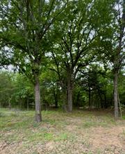 TBD 5 Slate Rock Road - Photo 21