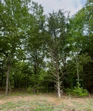 TBD 5 Slate Rock Road - Photo 22
