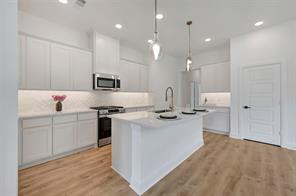4228 Elk Hair Drive - Photo 10