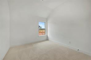 4228 Elk Hair Drive - Photo 18