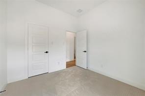 4228 Elk Hair Drive - Photo 19