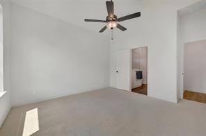 4228 Elk Hair Drive - Photo 30