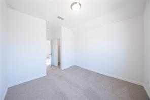 3109 Citrusvale Drive - Photo 19