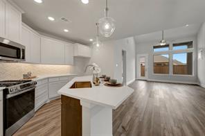 4235 Elk Hair Drive - Photo 10