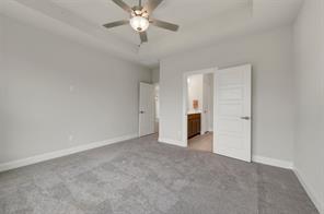 4235 Elk Hair Drive - Photo 24