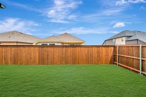 4235 Elk Hair Drive - Photo 3