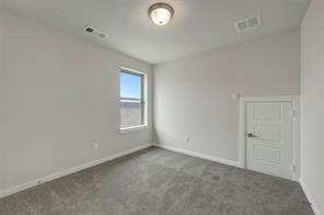 4235 Elk Hair Drive - Photo 34