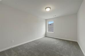 4235 Elk Hair Drive - Photo 36