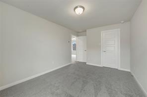 4235 Elk Hair Drive - Photo 37