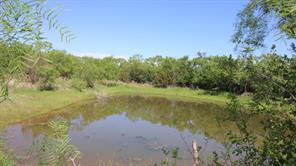525 County Road 310 - Photo 35