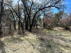 149 Comanche Hills - Photo 13