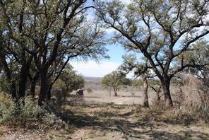 149 Comanche Hills - Photo 31