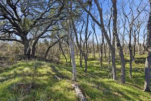 14725 Highway 183 N - Photo 21