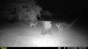 14725 Highway 183 N - Photo 35