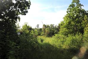 427 Procter Road - Photo 12