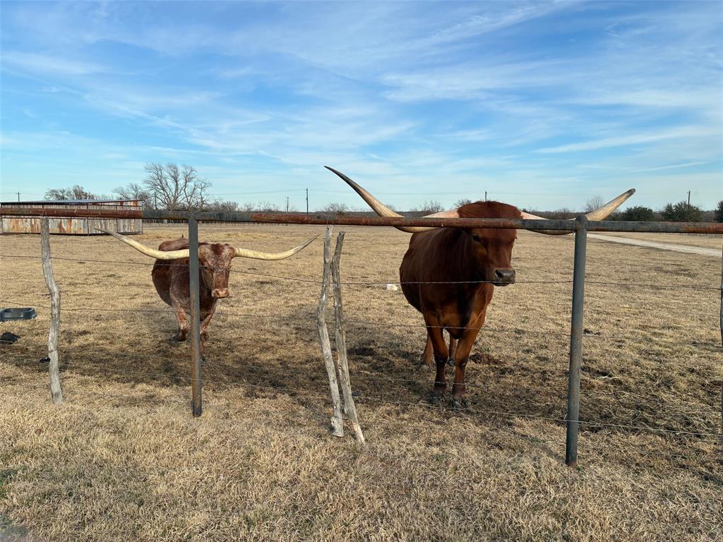 10917 County Road 290 - Photo 3