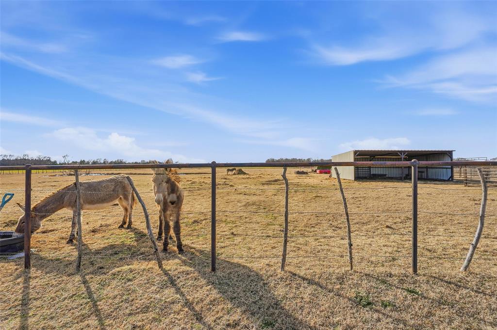 10917 County Road 290 - Photo 33