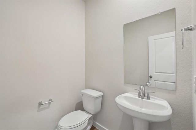 Photo 24