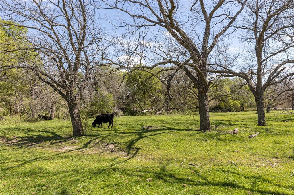 9885 County Road 270 - Photo 15