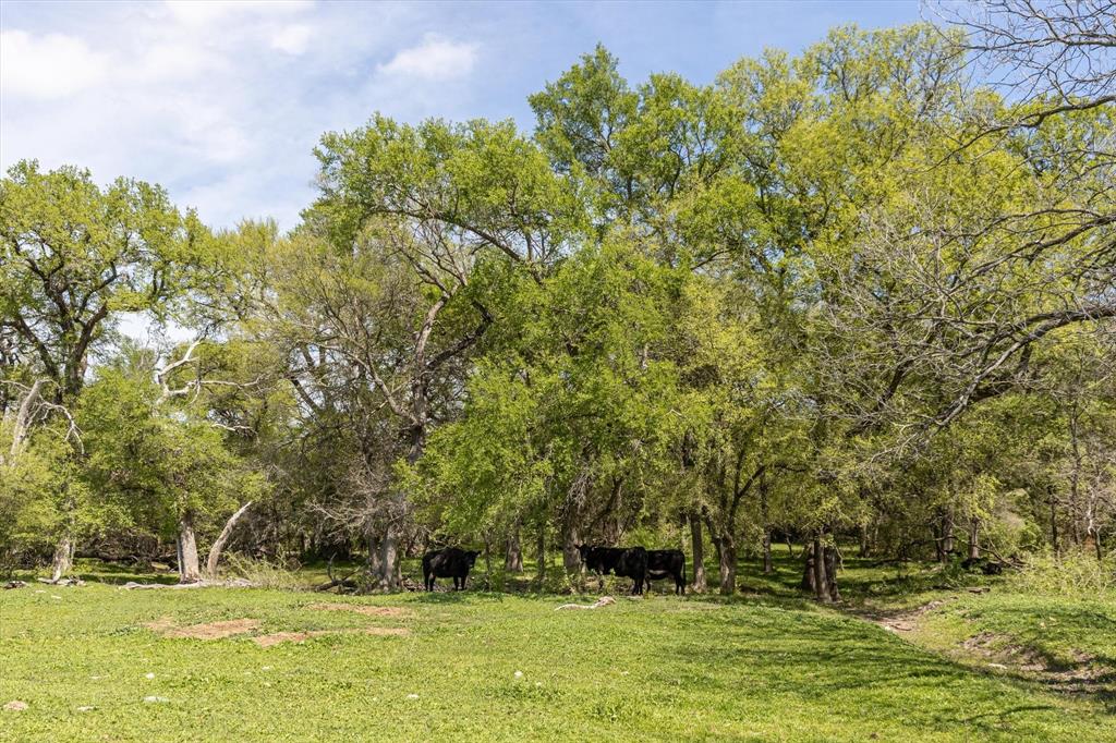 9885 County Road 270 - Photo 9