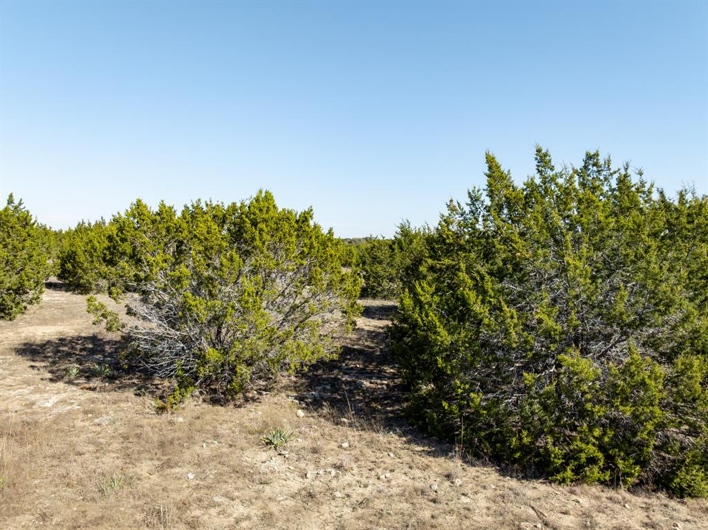 1141 Pitchfork Ranch Road - Photo 30