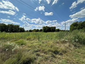 1945 County Road 904Z - Photo 15