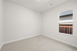 1417 Ripple Glass Road - Photo 19
