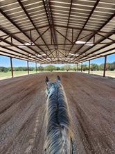6101 County Road 208 - Photo 21
