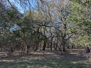 6101 County Road 208 - Photo 35