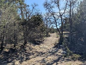 6101 County Road 208 - Photo 38