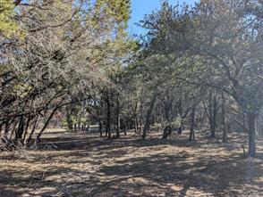 6101 County Road 208 - Photo 39