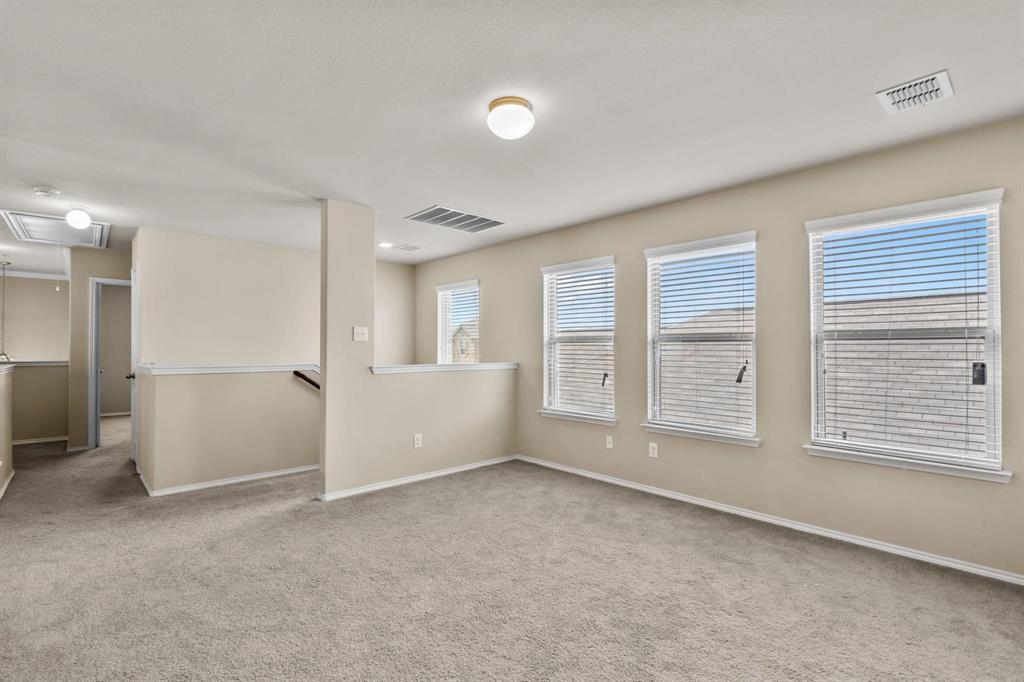 3006 Buckthorn Street - Photo 10