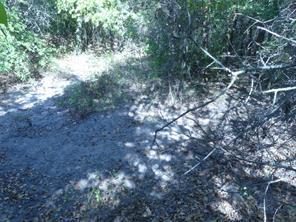 1746 Dog Kennel Road - Photo 20