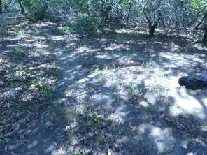 1746 Dog Kennel Road - Photo 30