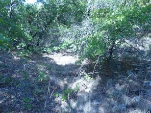 1746 Dog Kennel Road - Photo 31