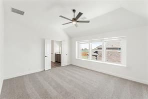 415 Birkdale Lane - Photo 30