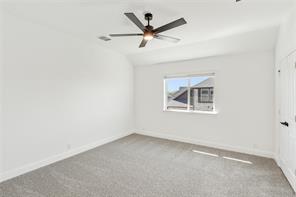 415 Birkdale Lane - Photo 33