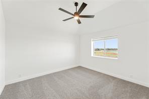 415 Birkdale Lane - Photo 34