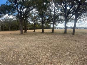 5.2 acres FM 1570 - Photo 10