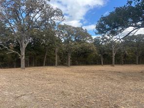 5.2 acres FM 1570 - Photo 11