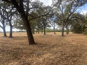 5.2 acres FM 1570 - Photo 12
