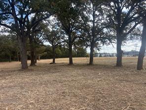 5.2 acres FM 1570 - Photo 13