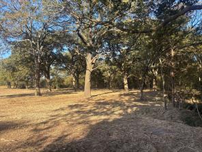 5.2 acres FM 1570 - Photo 14